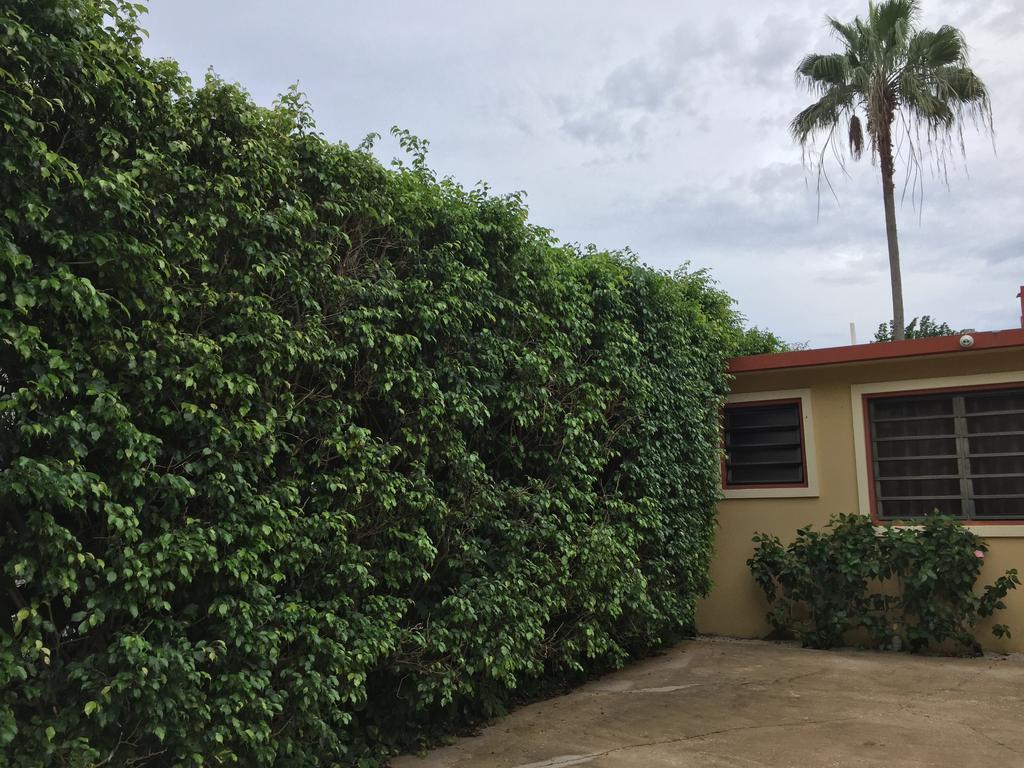 רינקון Tres Palmas Inn And Villas מראה חיצוני תמונה